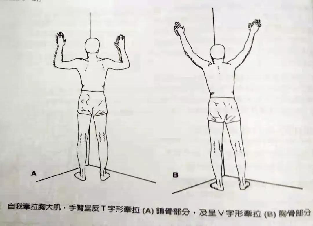 9岁小学生颈椎弧度变直,九岁颈椎变直