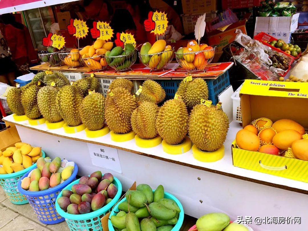 清迈旅游泰国6天5夜,清迈旅行体验