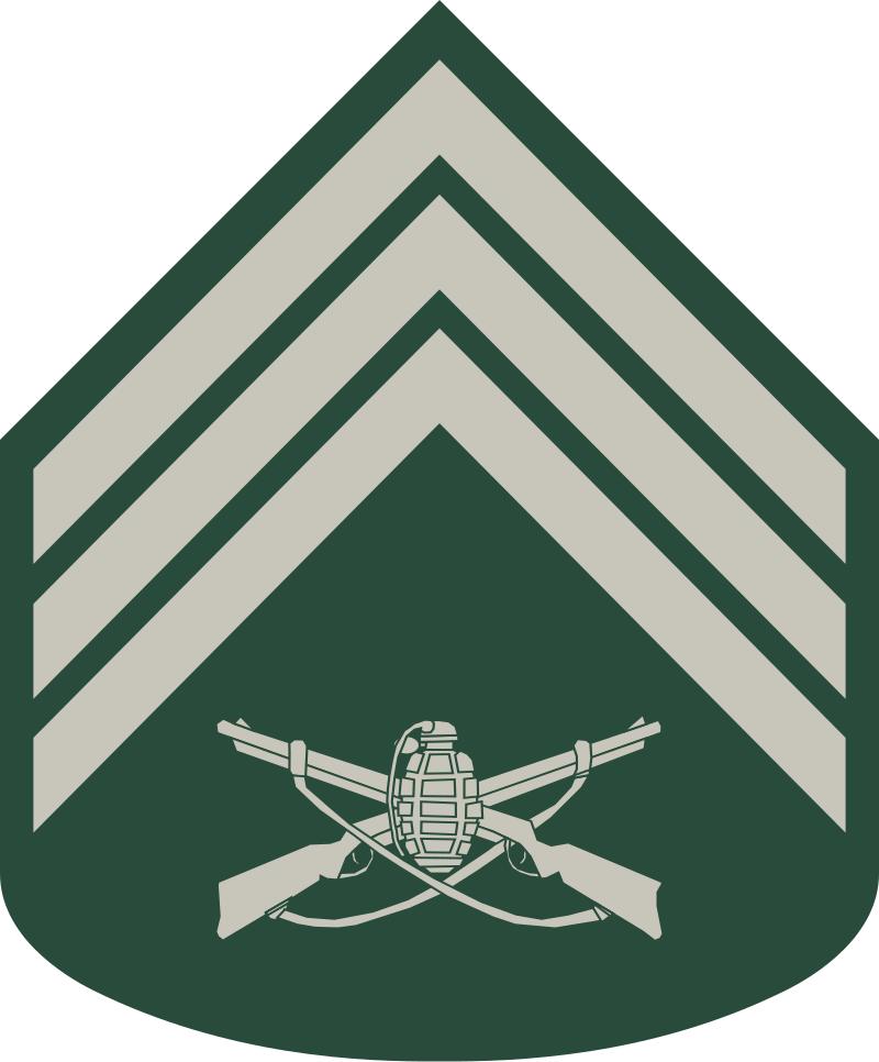 巴西军队标志,巴西海军军衔