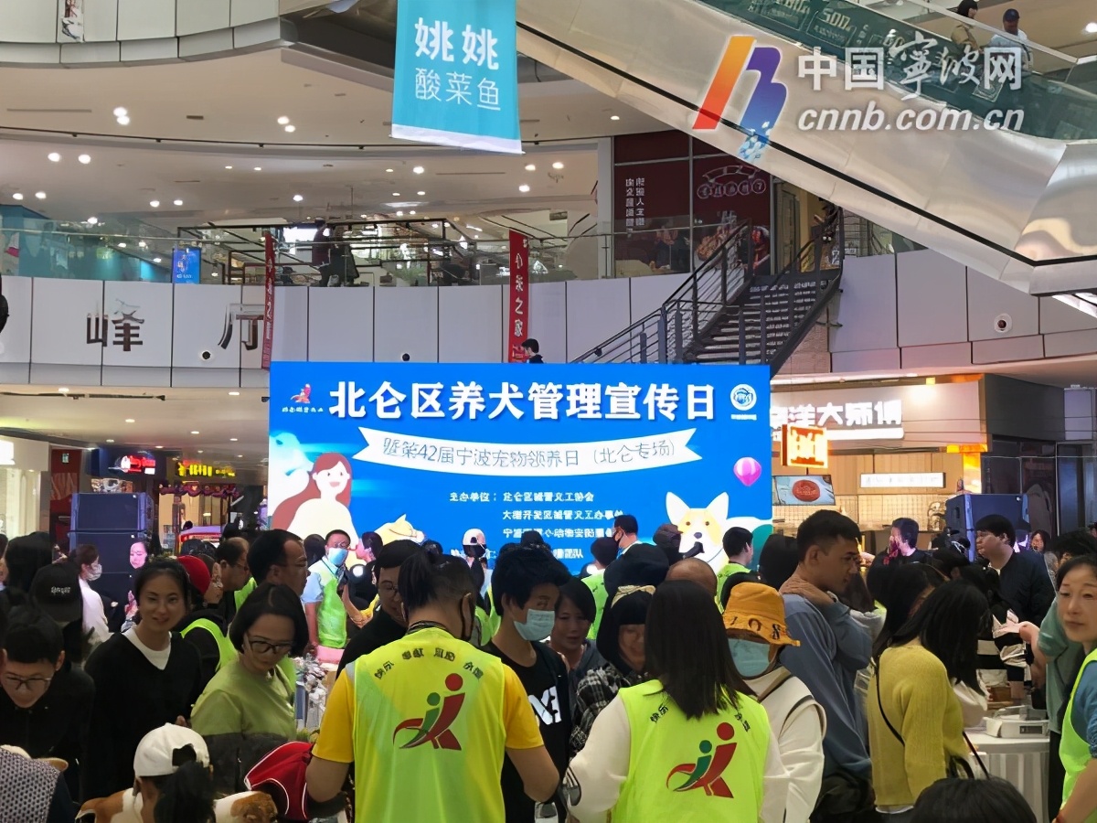 以领养代替购买北仑这场活动为30条流浪犬找“新家”