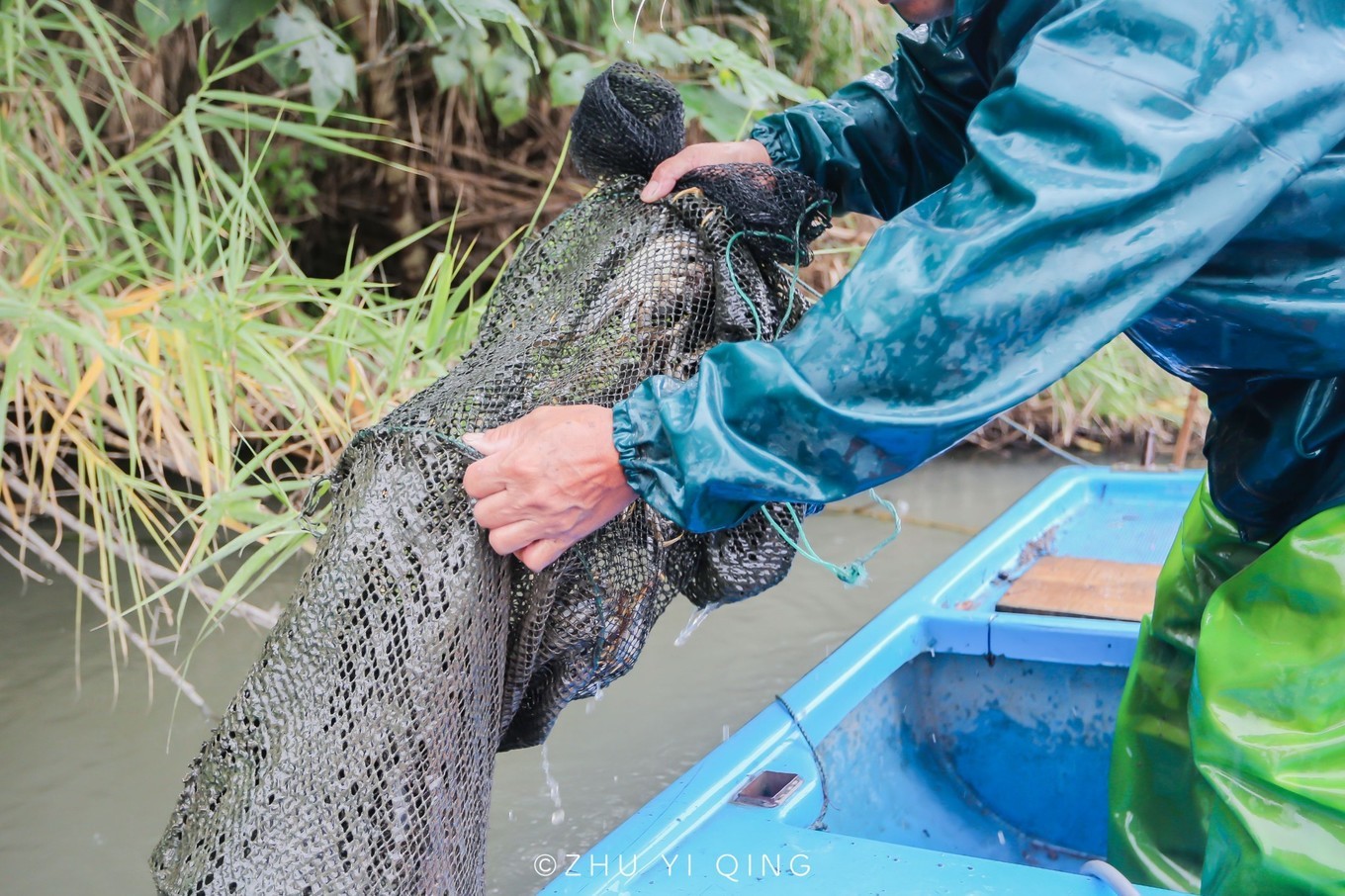 在哪儿能吃到正宗阳澄湖大闸蟹,哪里才能吃到正宗的阳澄湖大闸蟹