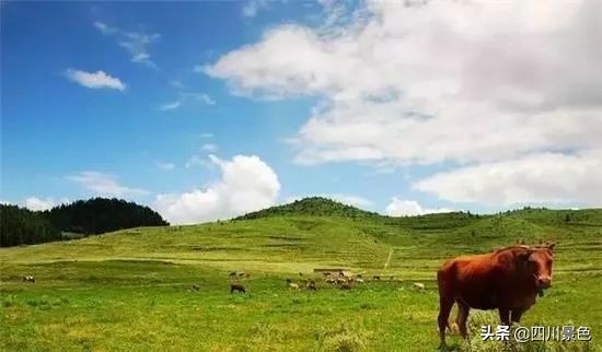 这才是旅游值得去的地方,这才是旅游城市该有的样子