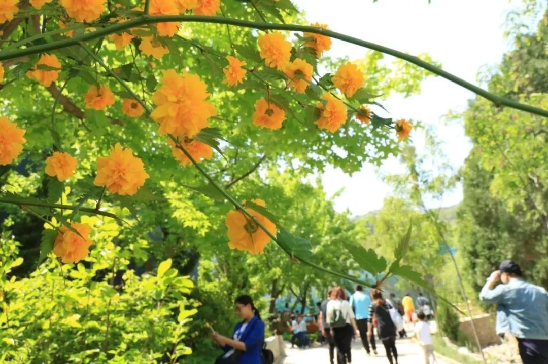 小长假都去哪里旅游好玩,济南金象山乐园