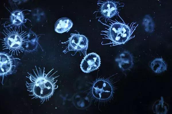 想去古城去哪里好,镇远古镇住宿攻略江景