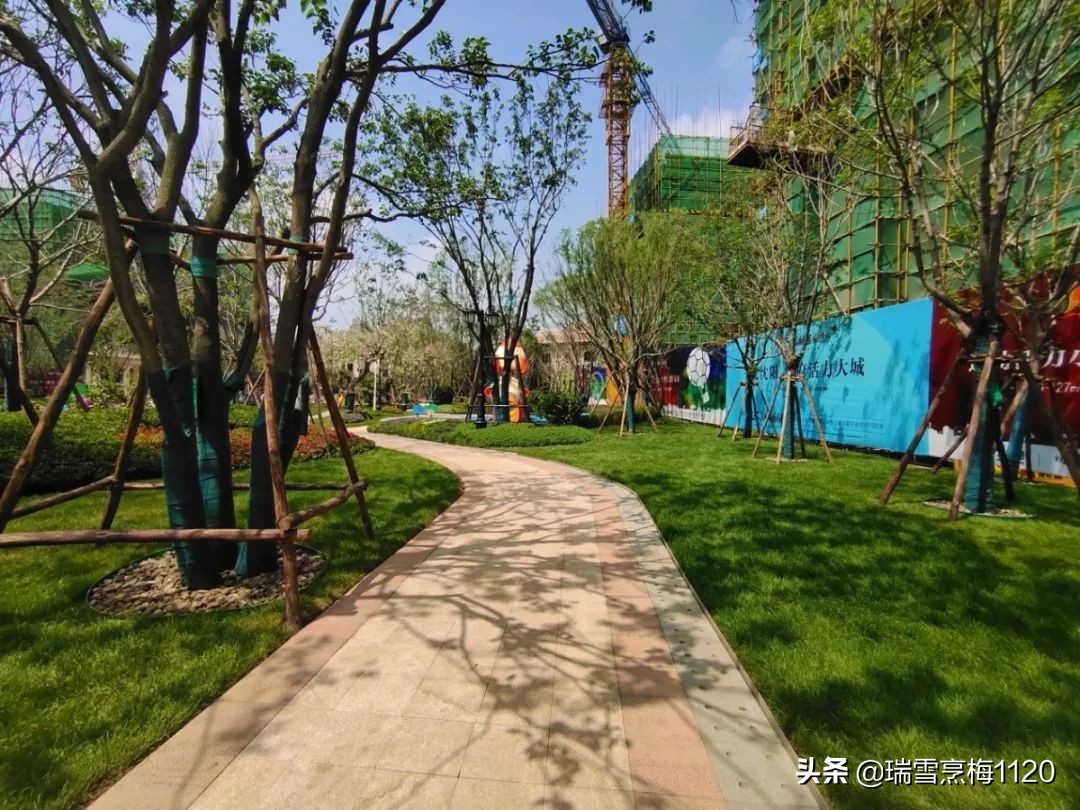 首都师范大学领导莅临恒大•绿茵小镇参观考察