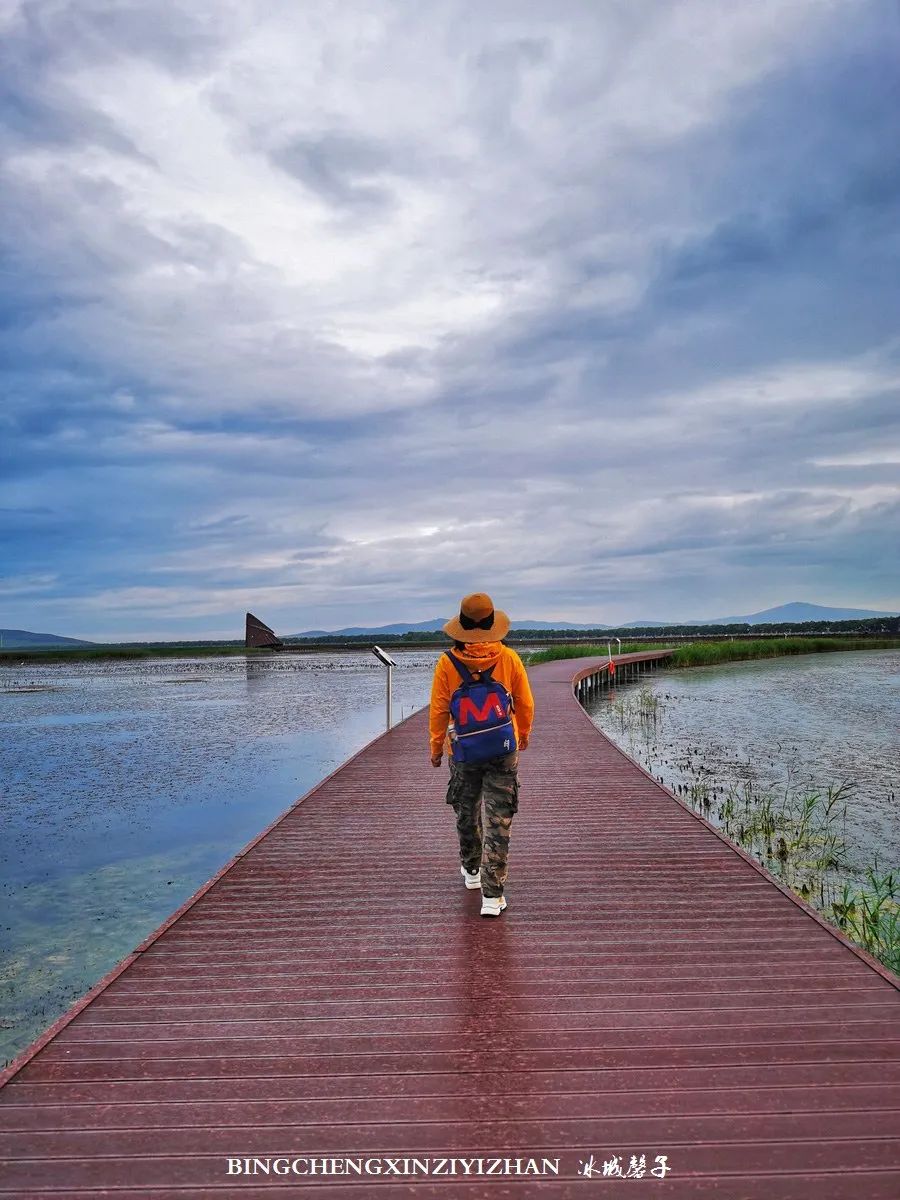 再返富锦，为着那份飘着稻花香的“湿”意约定