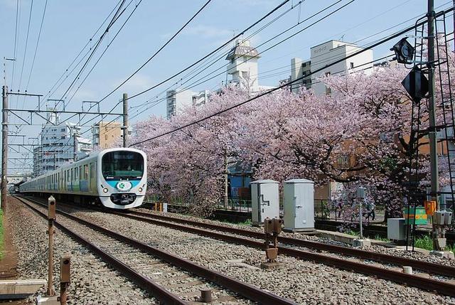 日本租车注意交通规则,日本旅游租车接送