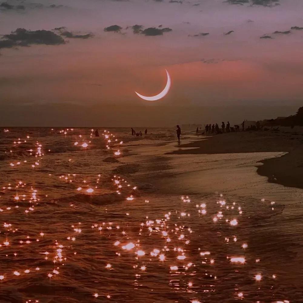 远离偏执校草小说下载,纯爱冷门文推荐