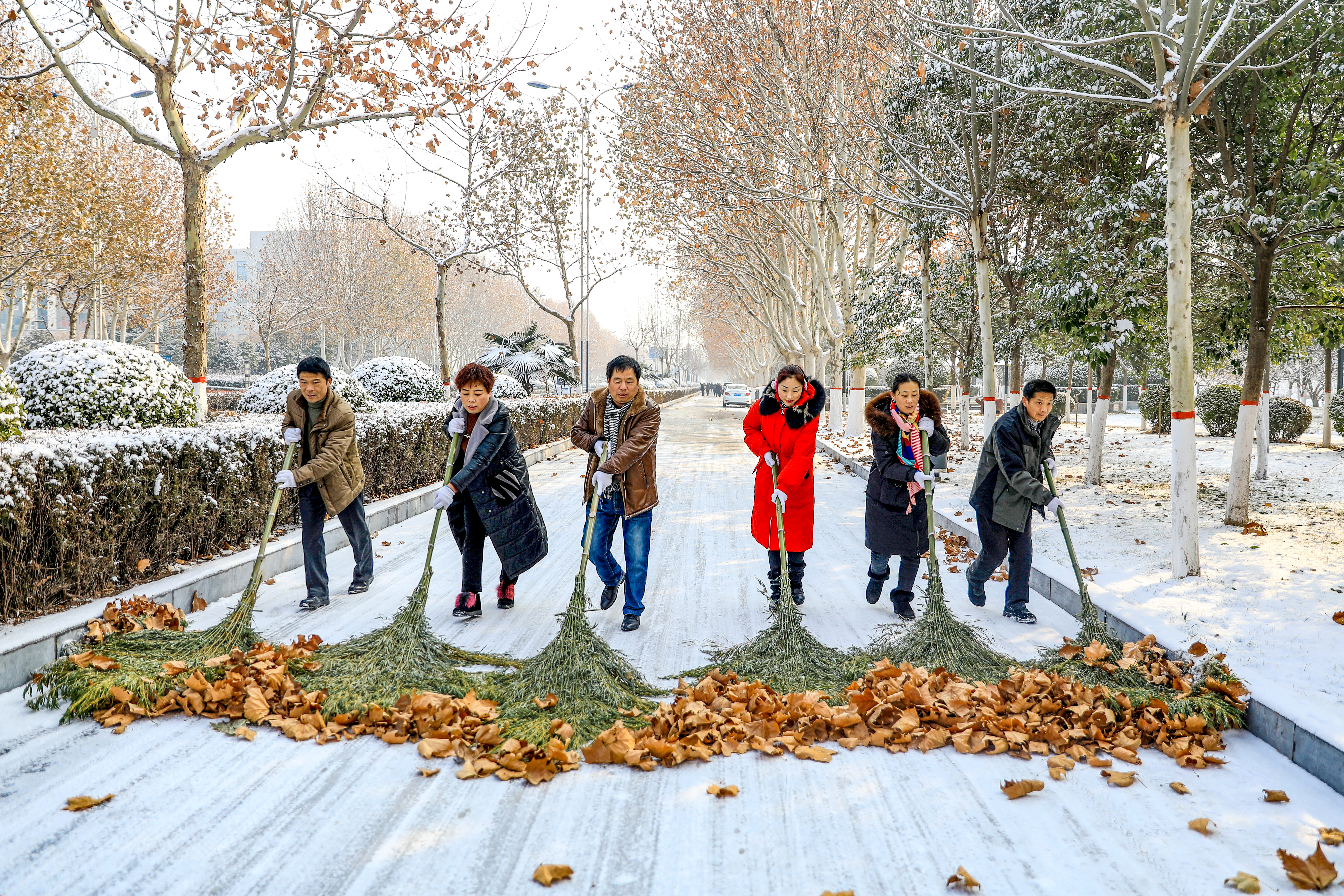 兰考新貌摄影集,兰考摄影团队