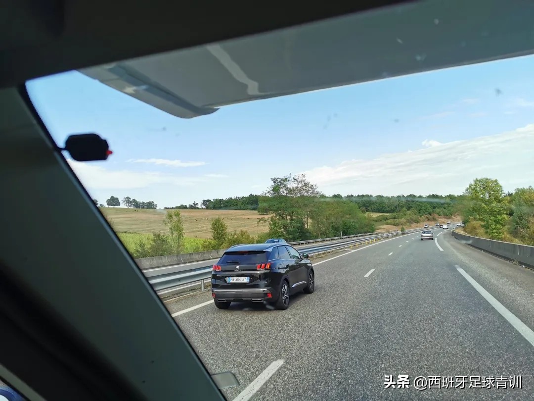 遇见小花,遇见野生动物如何报警