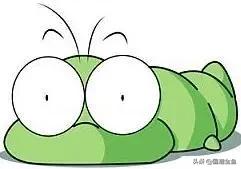 养鱼日常金鱼,养鱼学问观赏鱼