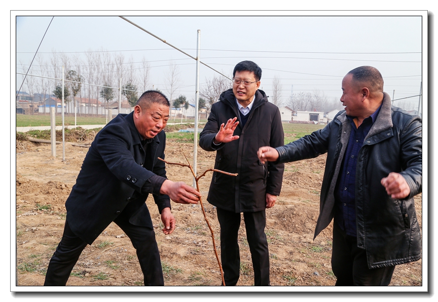 小葡萄成就致富梦