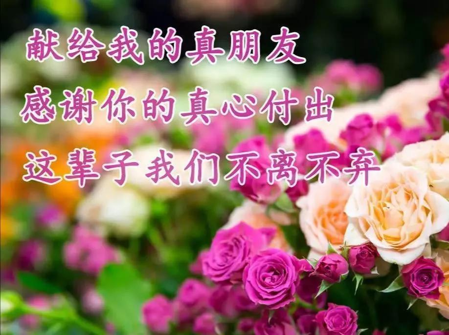 朋友认识你真好经典语录,朋友认识你真好诗歌朗诵