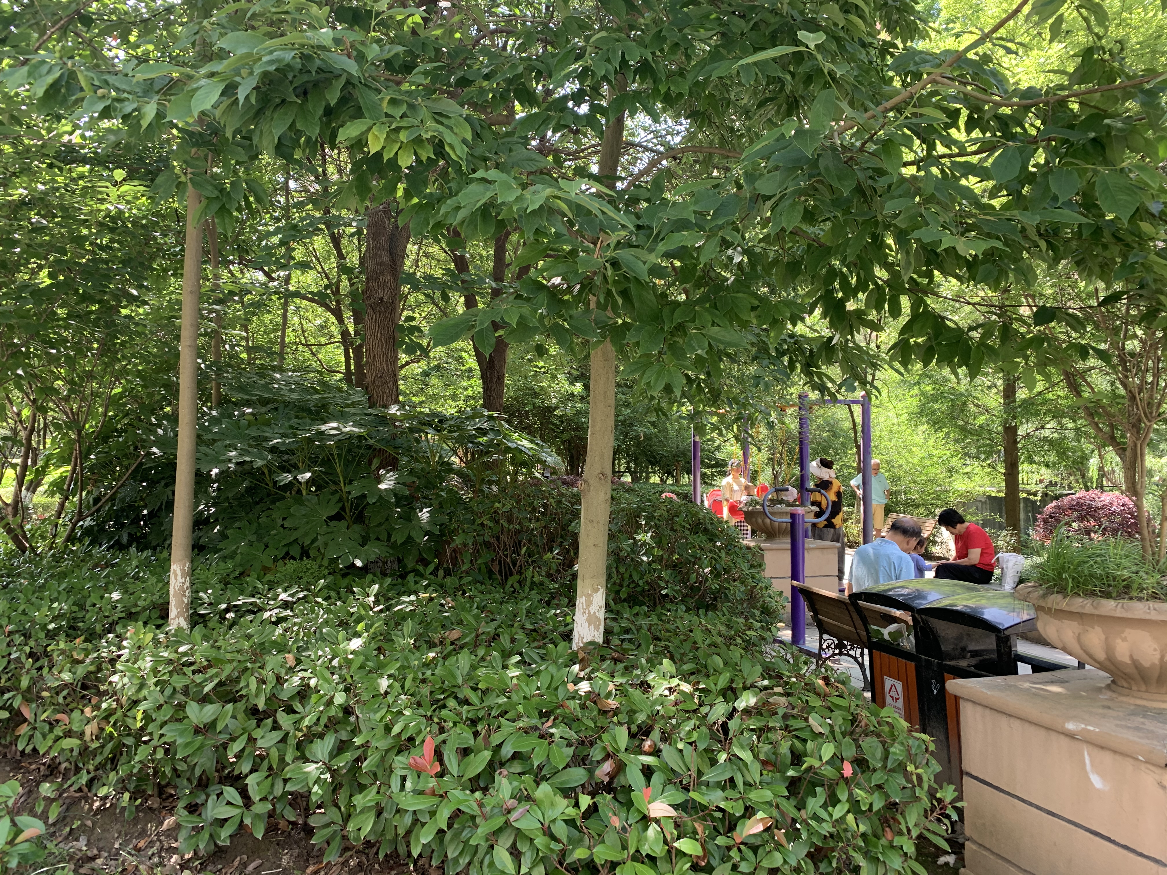 花桥鑫苑国际城市花园二手房,花桥鑫苑国际城市花园多少一平方