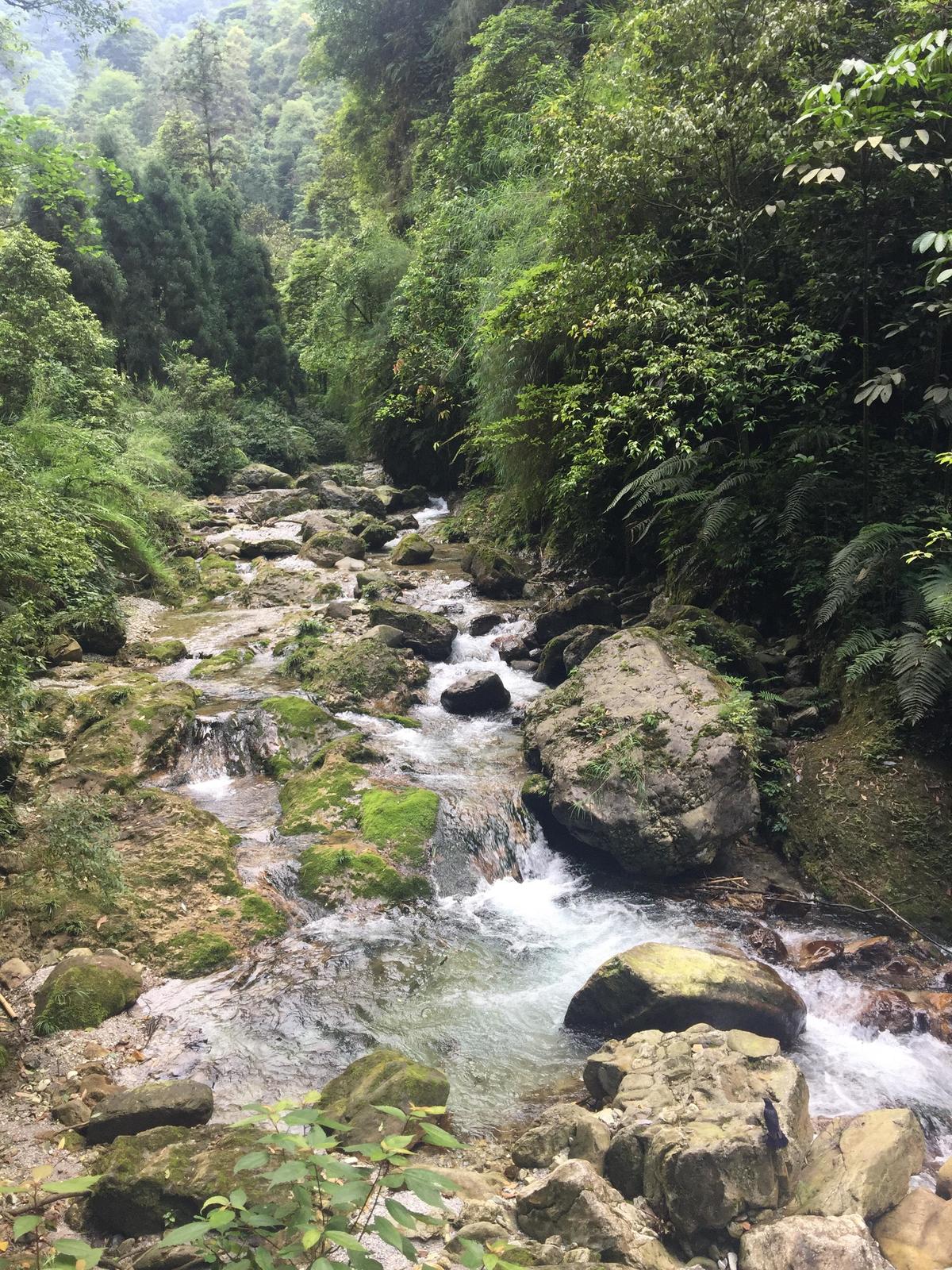 峨眉山登顶佛像,峨眉山登顶记完整版