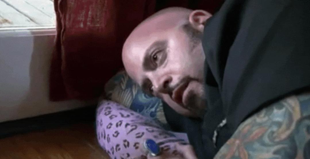 猫为什么总凶别人,猫为什么凶新来家的小猫