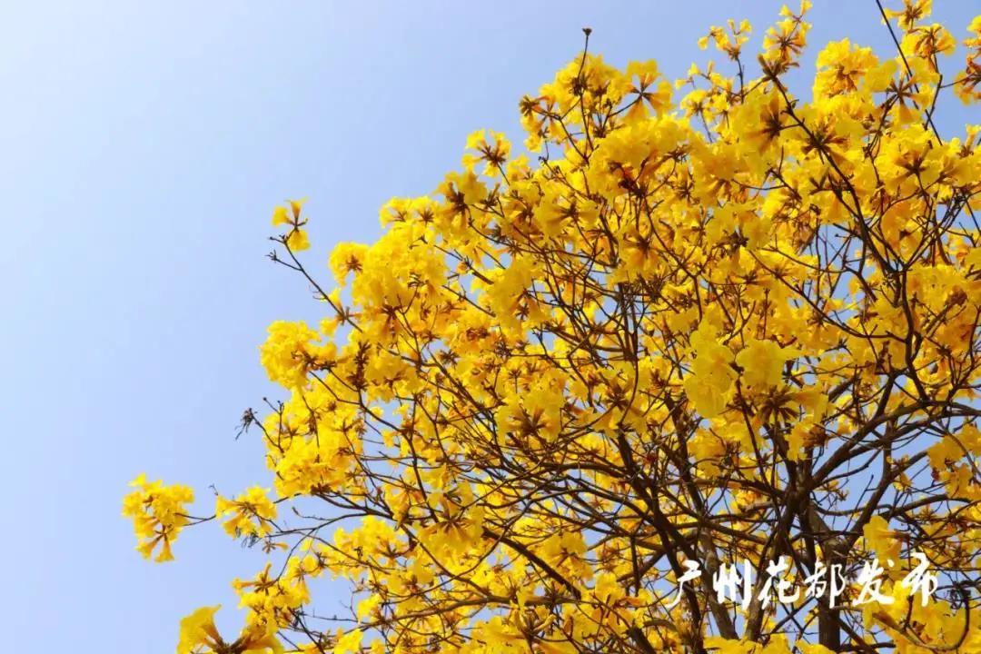在大山深处幽静绝美的村落,深藏大山中的村落
