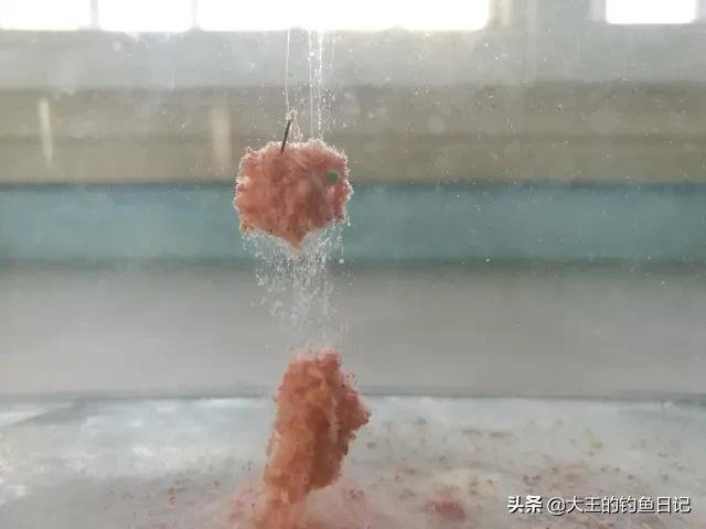 浆层对鱼饵料有影响吗,水底浆层影响钓鱼吗