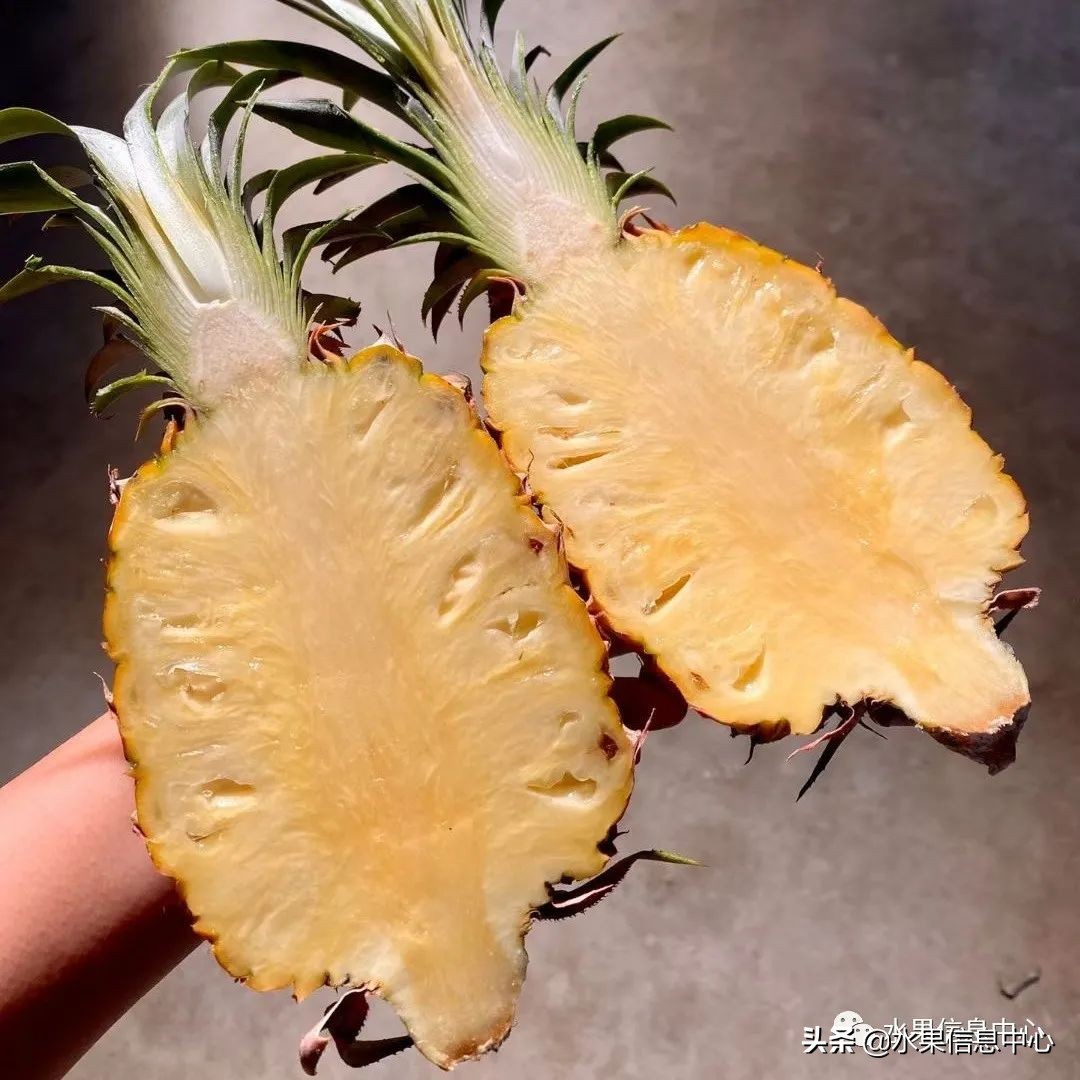 海南水果都有哪些品种图片及名称,海南水果上市时间表赶快收藏吧