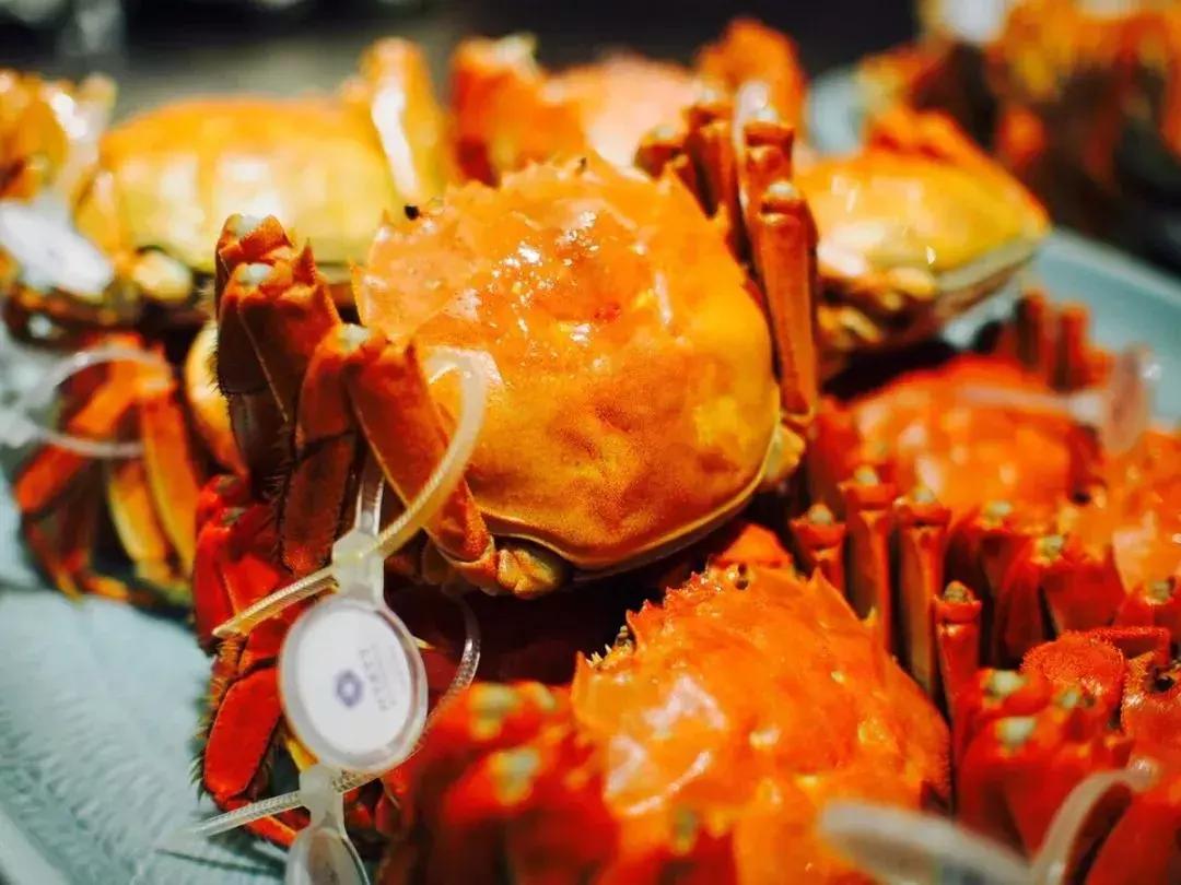 苏州美食推荐适合一家人,最全苏州美食合集卡点视频