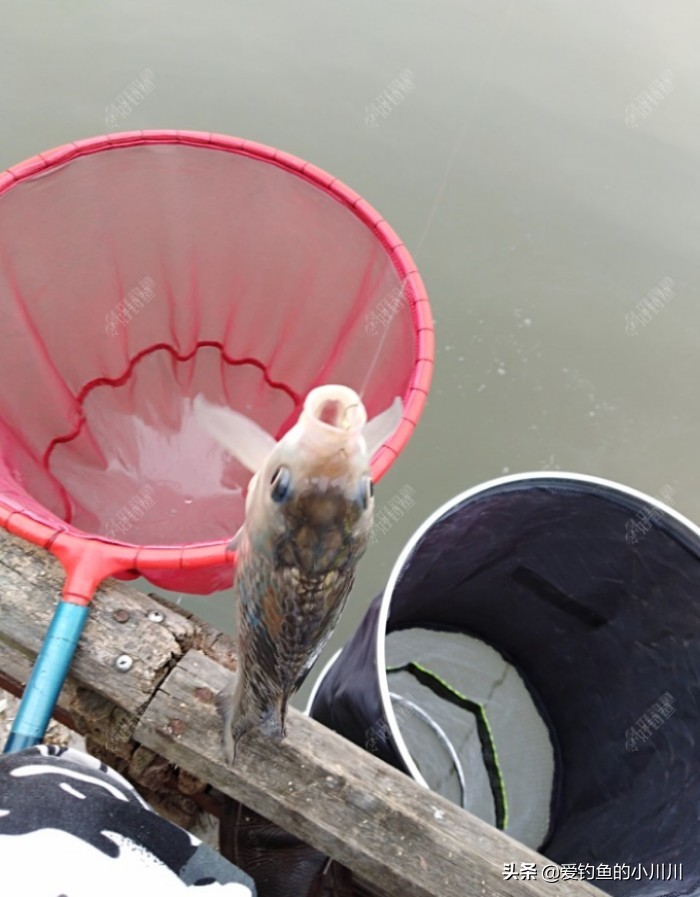 聊下找口与抓口的问题个人见解