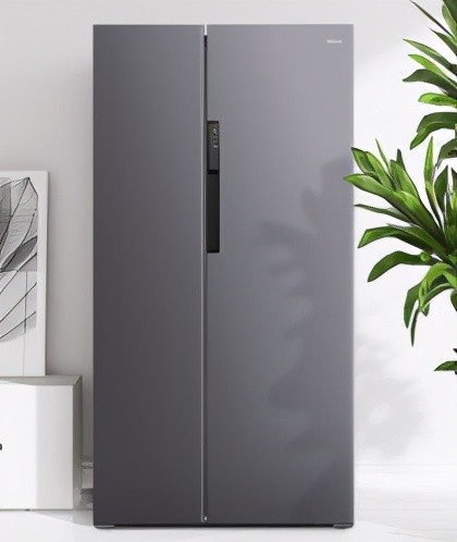 冰箱质量排行榜中国前十名,对开门冰箱质量排行榜前十名