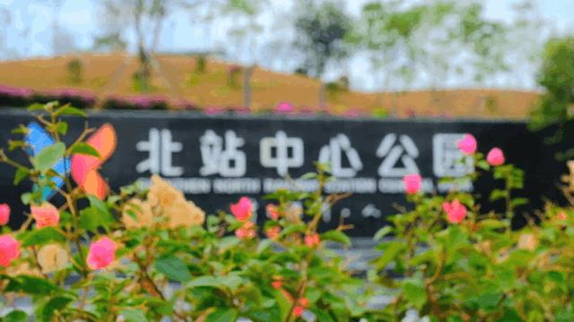 深圳网红公园地铁站,深圳地铁最近有什么公园