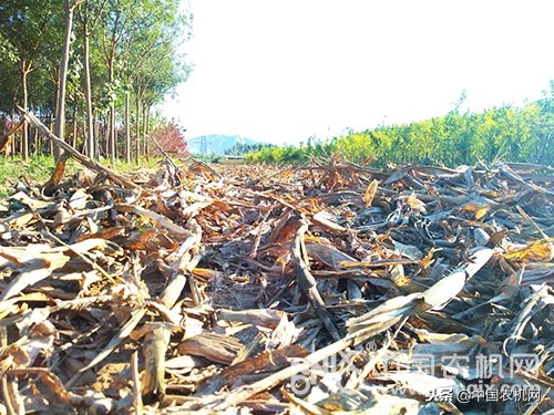 农机专业合作社视频,农机合作社在农业生产中的作用