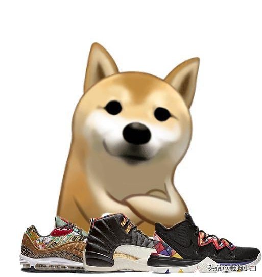 adidaseqt适合脚宽的人穿吗,夏季adidas运动裤穿搭