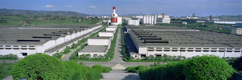 巨龙腾飞日出东方,日出东方中国龙酒