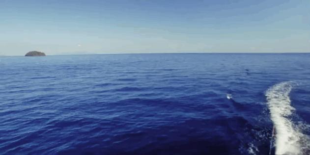 恋恋丽贝岛，人狗情未了|KohLipe