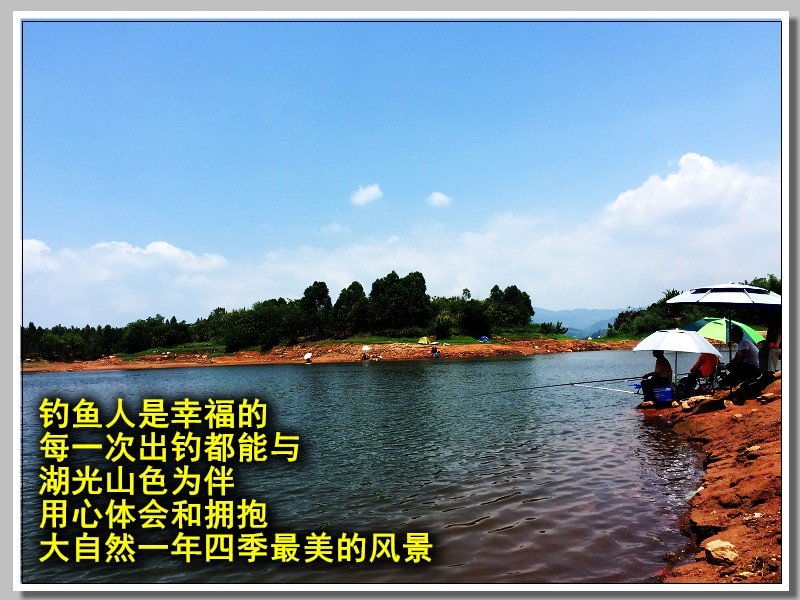 钓鱼竿为什么不绝缘,钓竿哪个牌子好