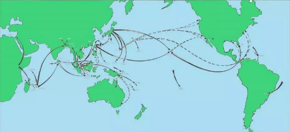 非洲野味入侵全球：在这种巨型蜗牛面前，中国吃货根本狂不起来