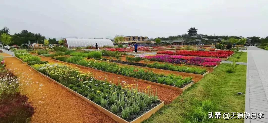 有人去过世园会吗,去过世园会