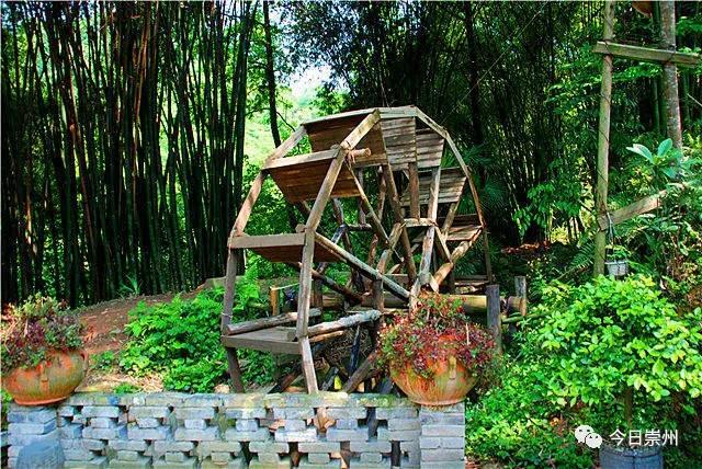 崇州粉蒸肉哪家好吃,崇州味道