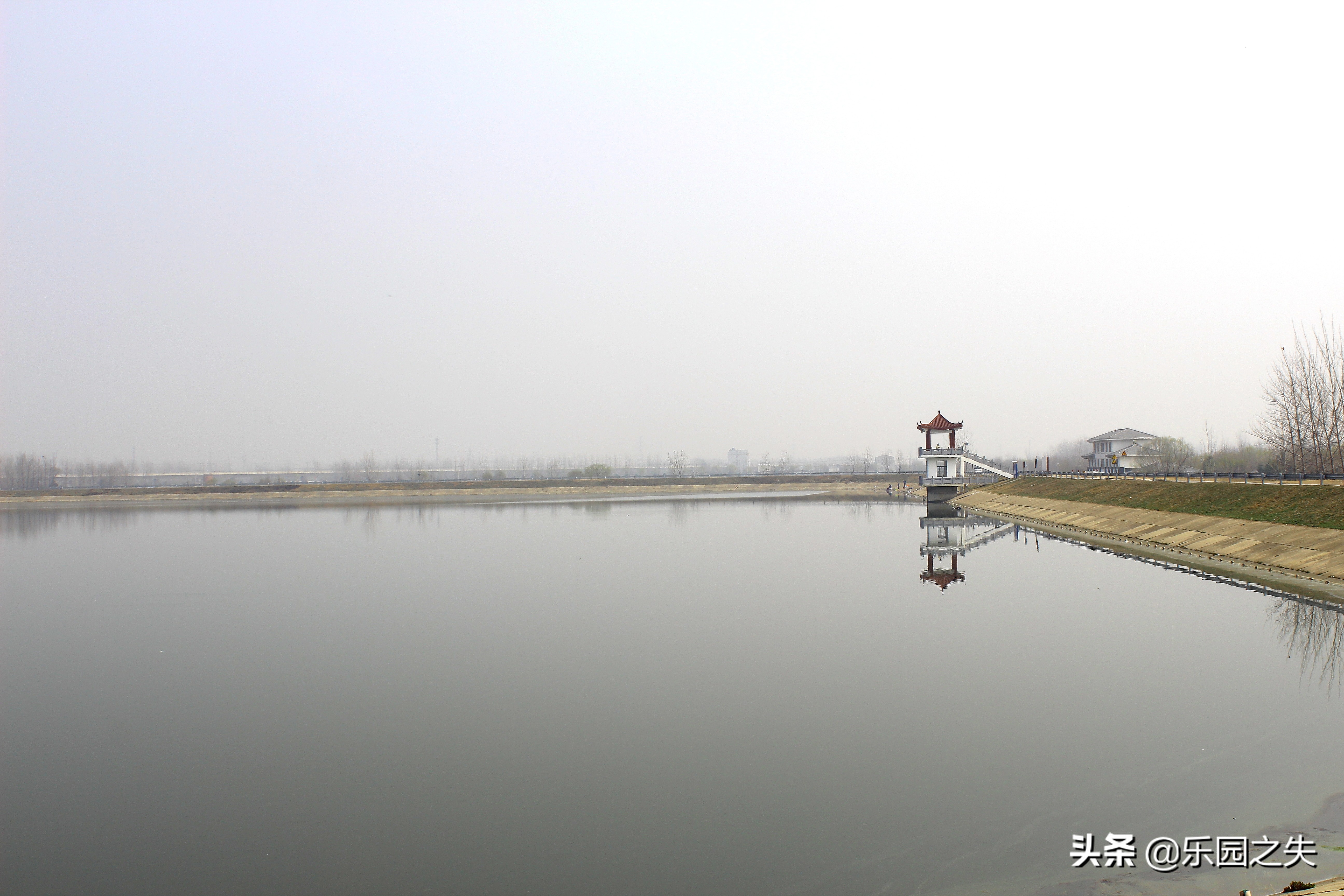 野外水库垂钓草鱼怎么选钓点,水库草鱼野钓技巧解读