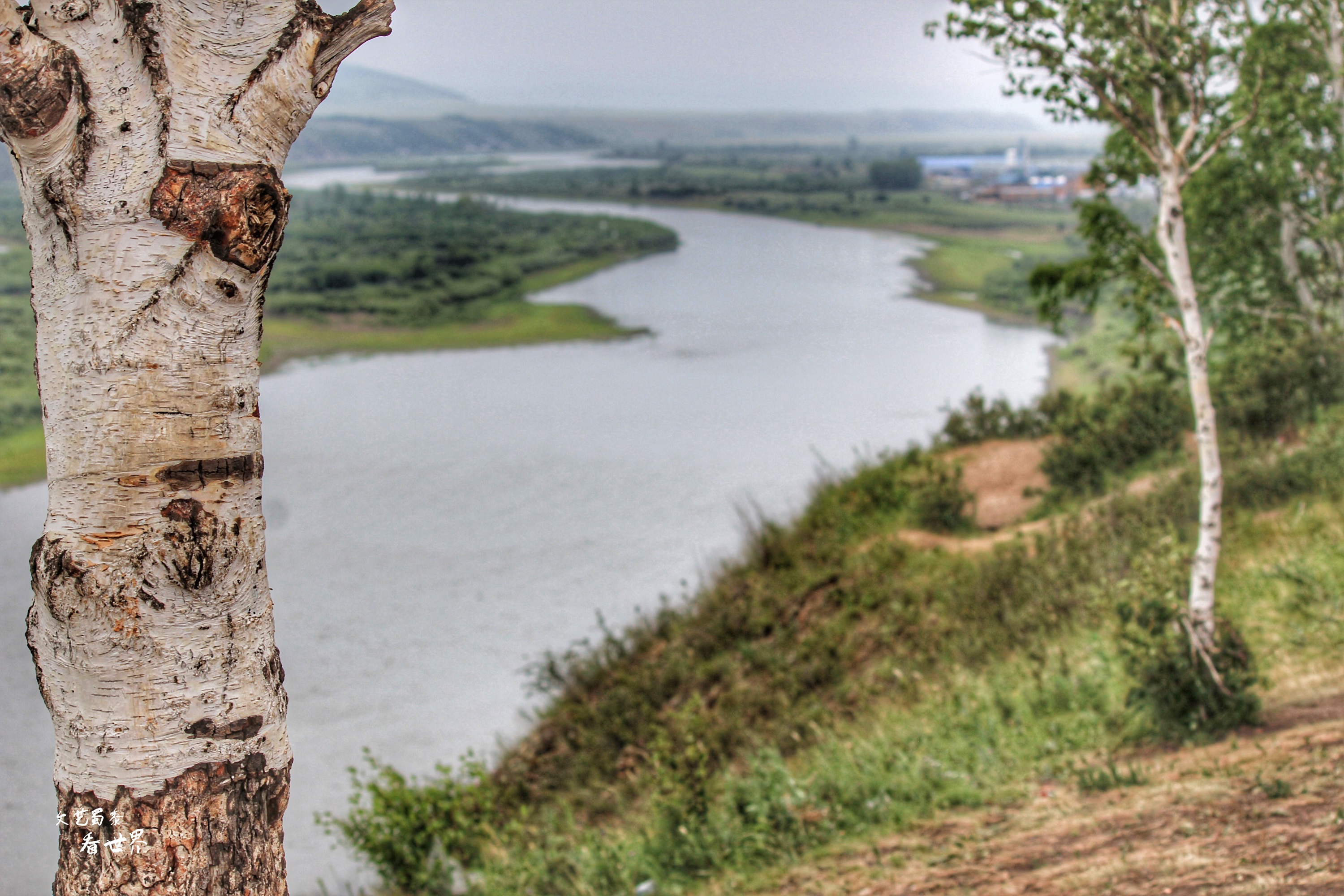 带你去美丽的呼伦贝尔大草原 (遇见最美草原呼伦贝尔深度游攻略)