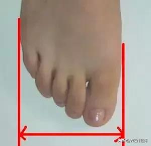 干货来了知识点有哪些,新手入门穿什么球鞋最好