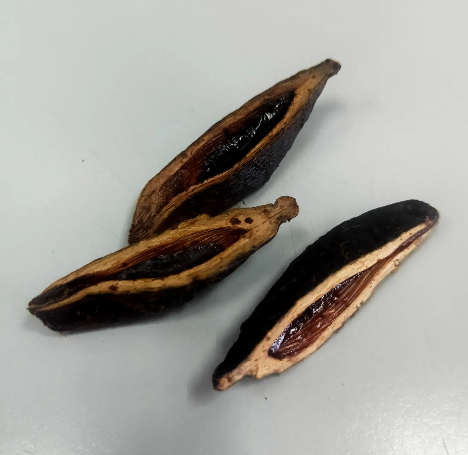 嚼槟榔上瘾后要戒真的好难,嚼槟榔上瘾是什么感觉