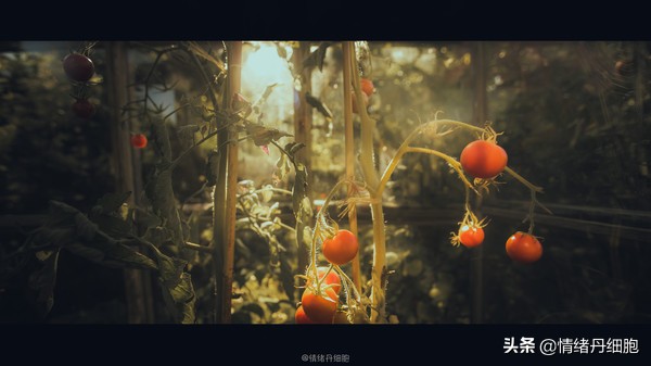 可以去玩一整天的地方,能玩一两天的地方