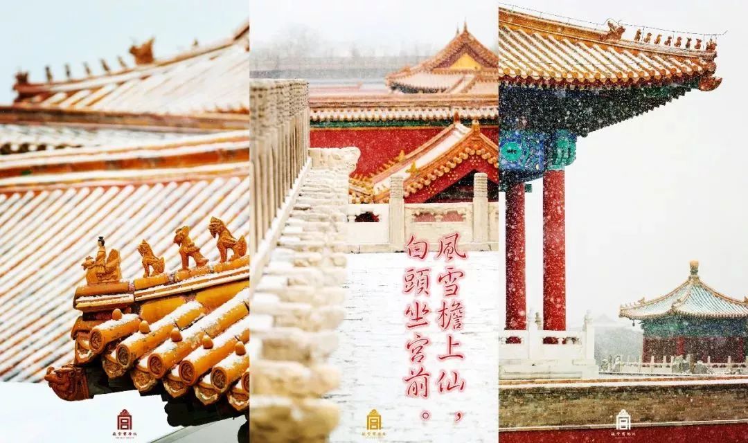 故宫也开火锅店了！你想去拔草吗？我大天津大铜锅，你爱哪家呢？