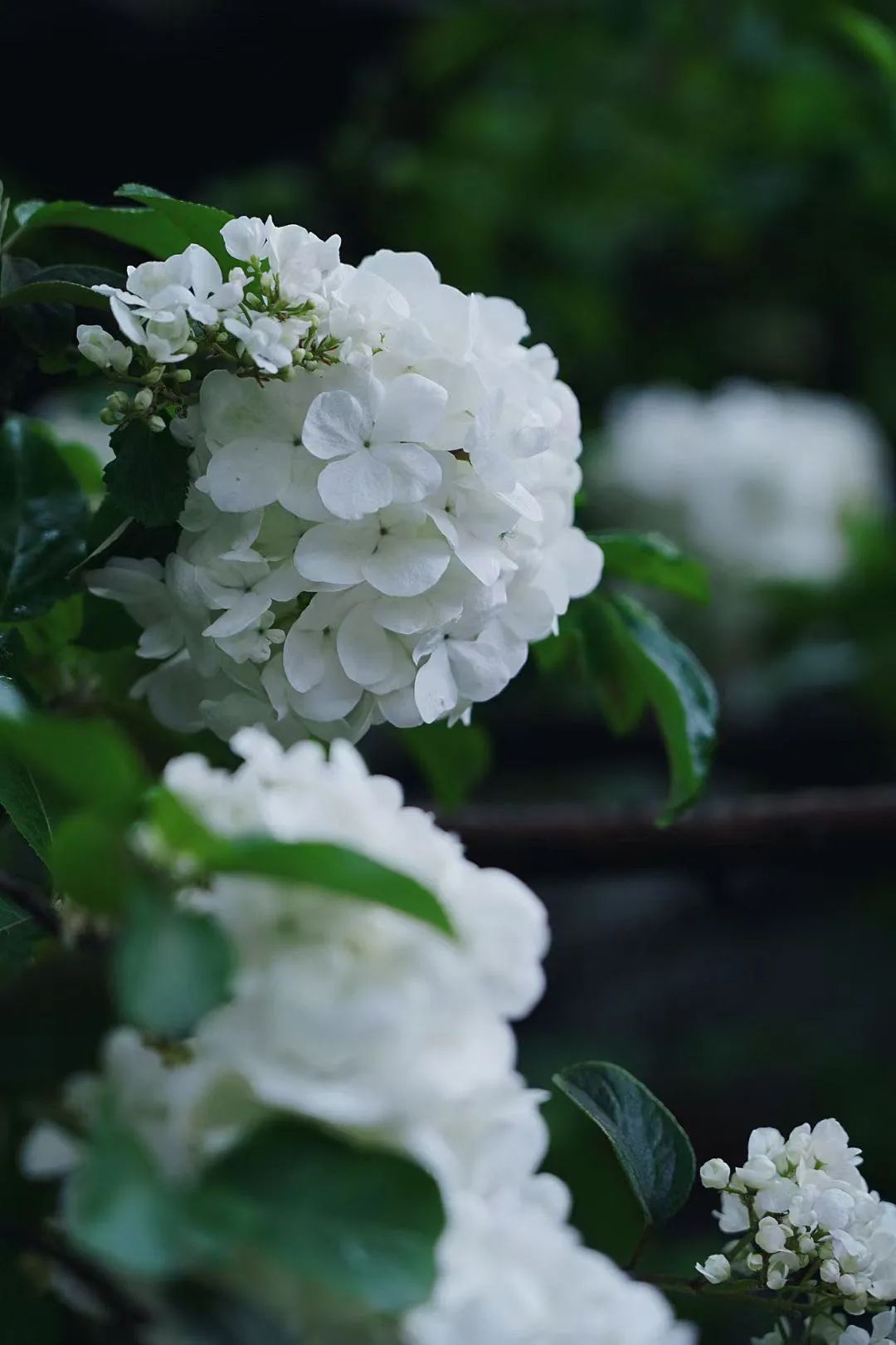 五一放假安排调整通知 (五一放假安排高速免费)