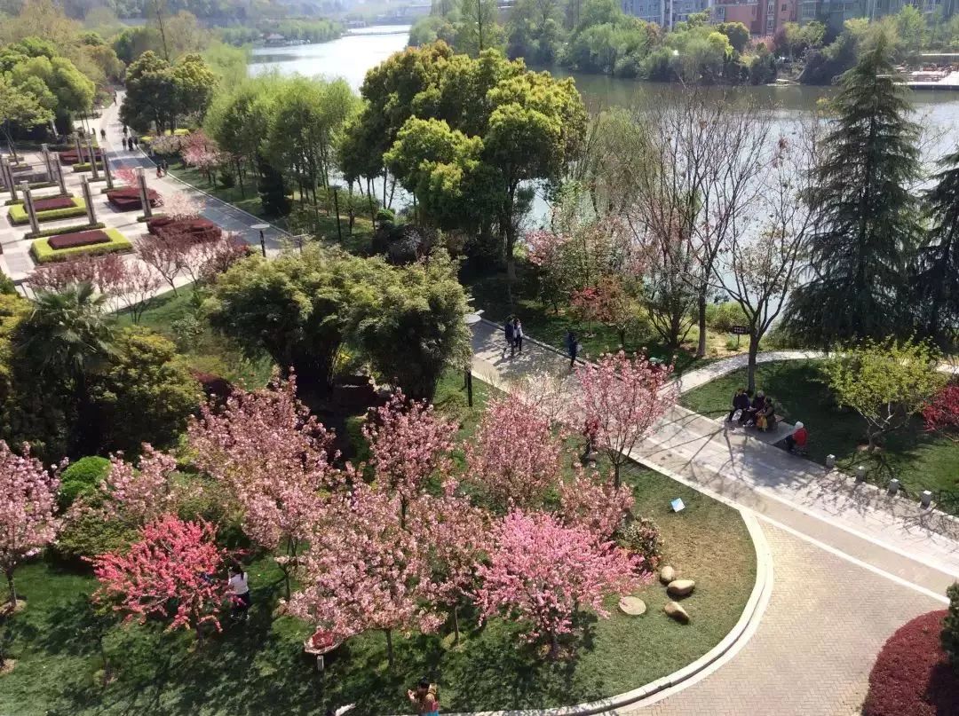 南京免费公园免费开放日一览表,南京免费公园景点推荐