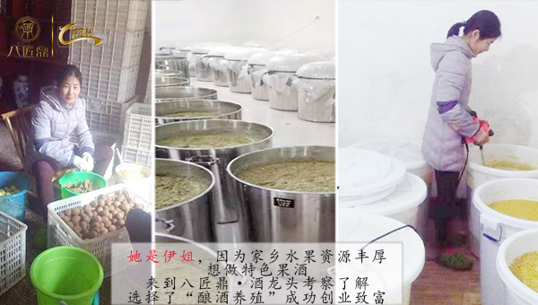 果酒褐变度的处理,果酒后期浑浊的处理