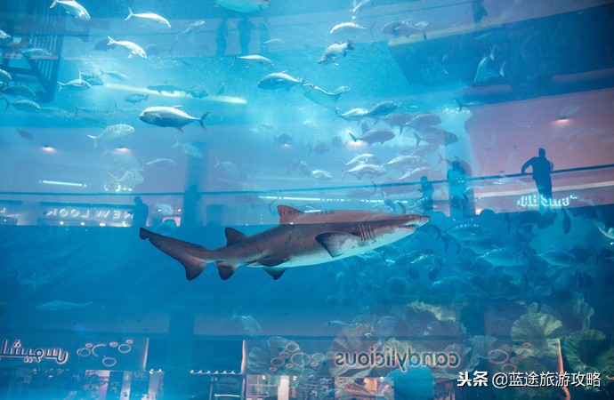 去迪拜千万不要做的事,去迪拜必去的项目