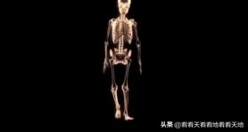 男人都是下半身动物？BBC来揭秘了！