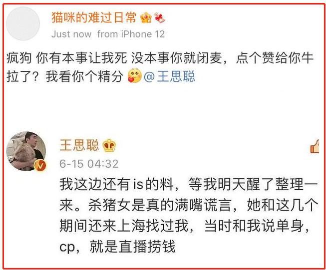 王思聪四年前跟孙一宁在一起过吗,王思聪后来和孙一宁关系好了嘛