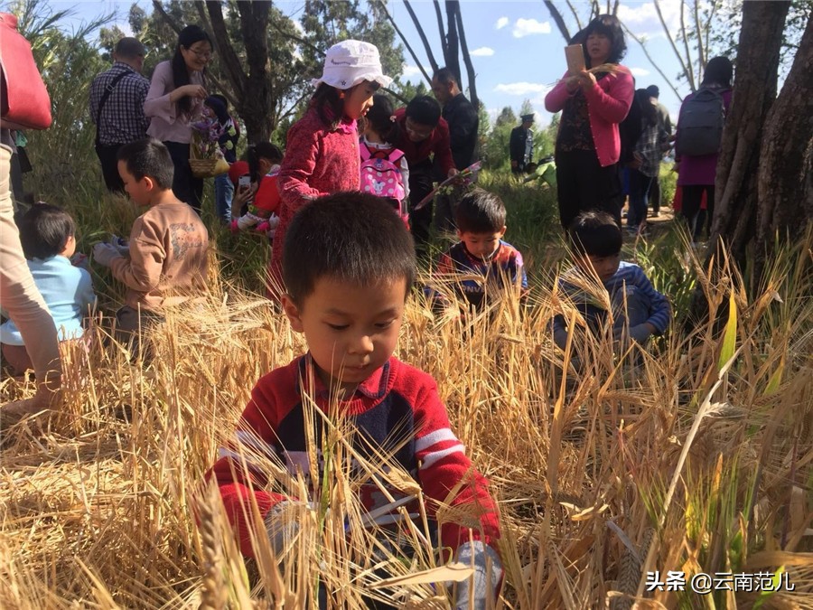 昆明周边五一去哪里,五一昆明周边搭帐篷