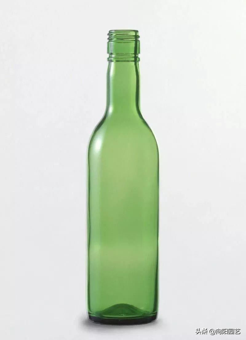 切酒瓶做花盆养多肉看效果,自制酒瓶多肉花盆如何造型