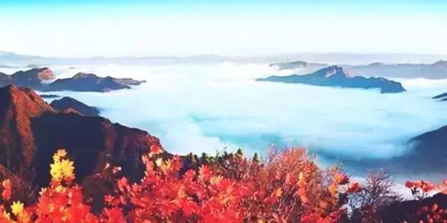 大连枫叶最佳观赏时间,大连枫叶红视频